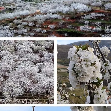 Rurales La Vera Jarandilla de la Vera